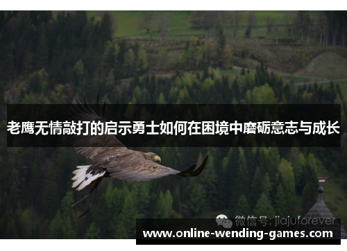 老鹰无情敲打的启示勇士如何在困境中磨砺意志与成长