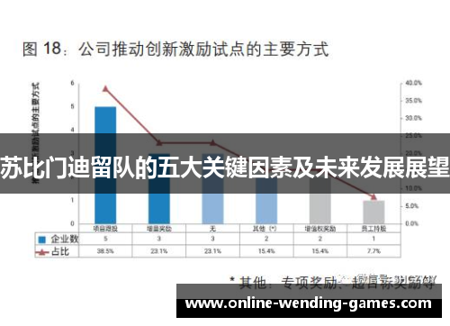 苏比门迪留队的五大关键因素及未来发展展望